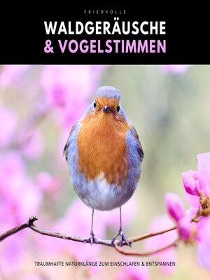 cover image of Friedvolle Waldgeräusche & Vogelstimmen
